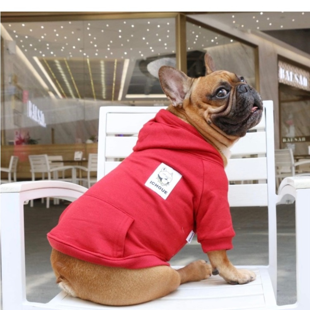 Red Hoodie for dogs - Picture 6 of 9
